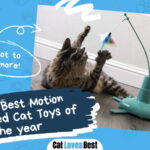Best Motion Activated Cat Toys