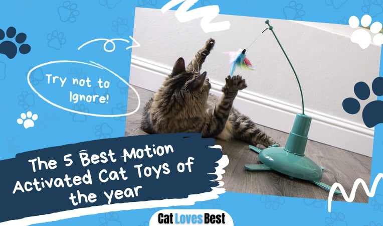 Best Motion Activated Cat Toys