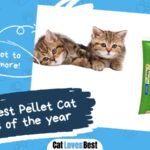 Best Pellet Cat Litters