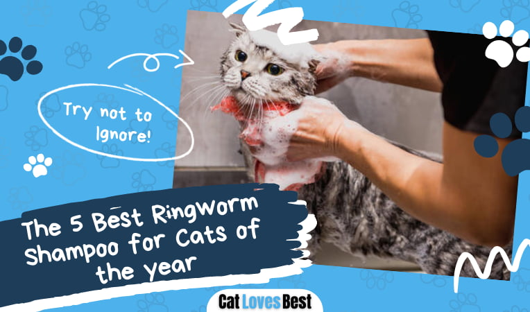 Best Ringworm Shampoo for Cats