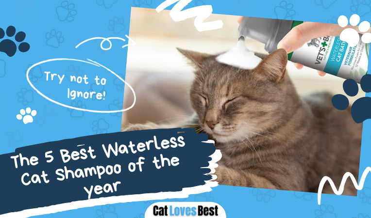 Best Waterless Cat Shampoo