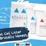 Boxiecat Cat Litter