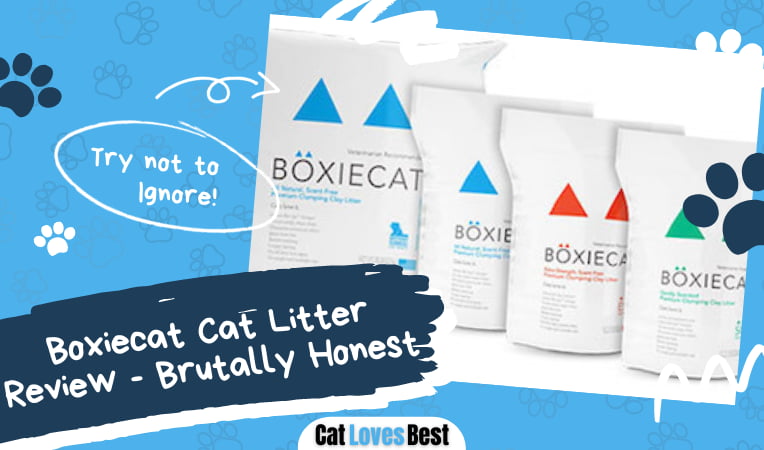 Boxiecat Cat Litter