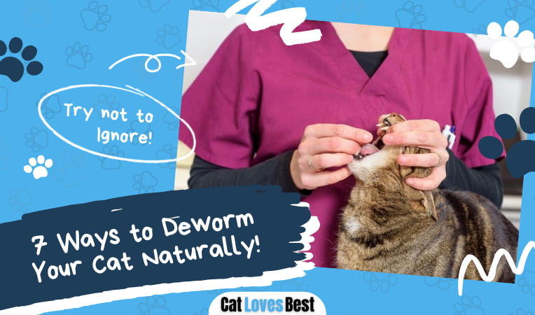 Deworming Cats Naturally