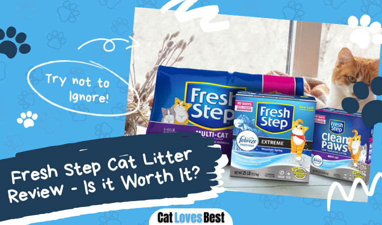 Fresh Step Cat Litter