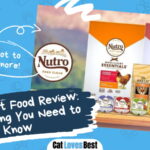 Nutro Cat Food Review