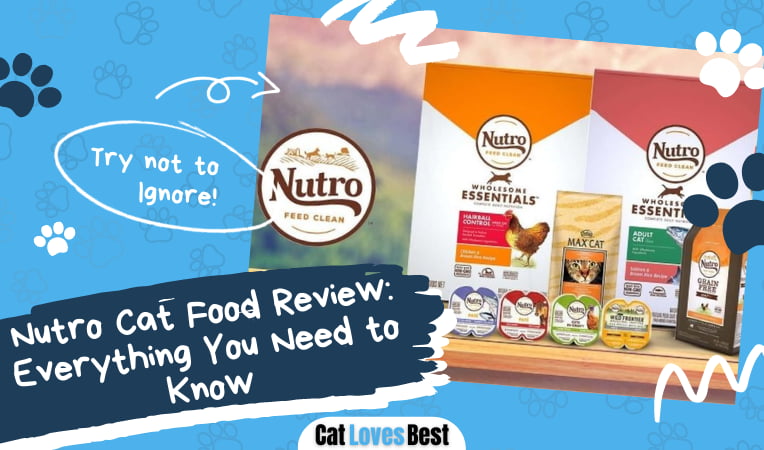 Nutro Cat Food Review