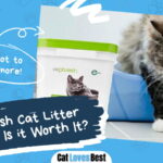 So Phresh Cat Litter