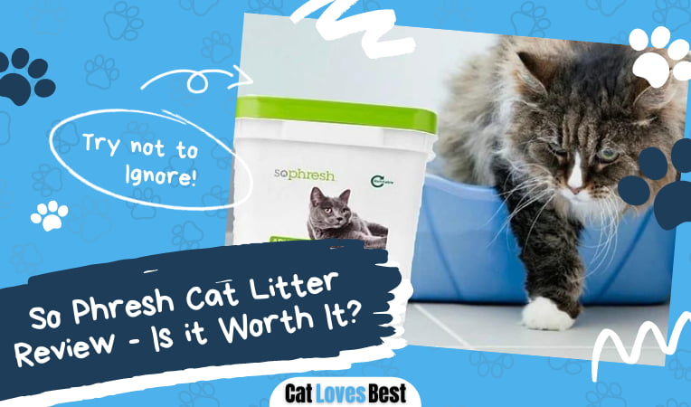 So Phresh Cat Litter