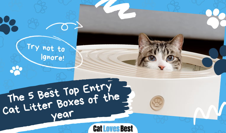 Top Entry Cat Litter Box