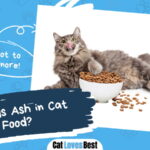 What Is Ash in Cat Food