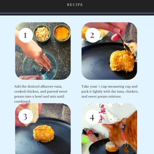 Pumpkin Pie Cat Cake Recipe