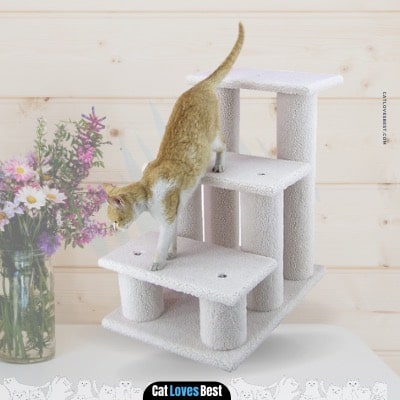 Aeromark International Armarkat Pet Stairs and Steps