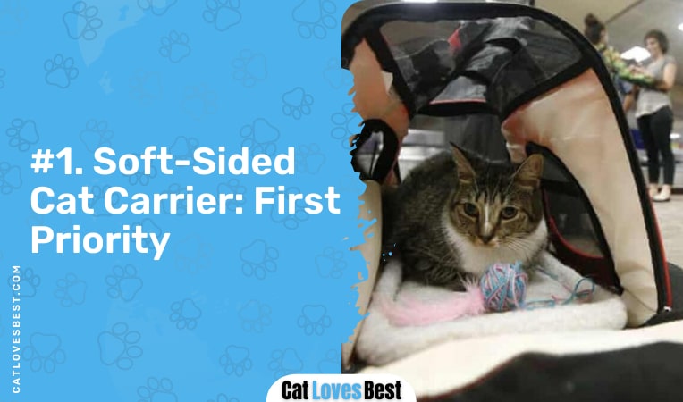 always use soft sided carrier when flying with your cat