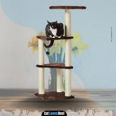amazon cat tree with platform and cat scratching posts