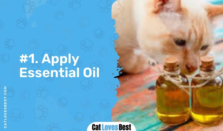 apply essential oil