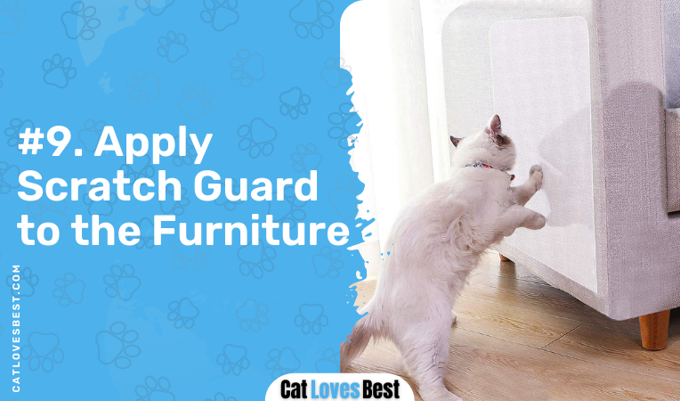 apply scratch guard to the furniture
