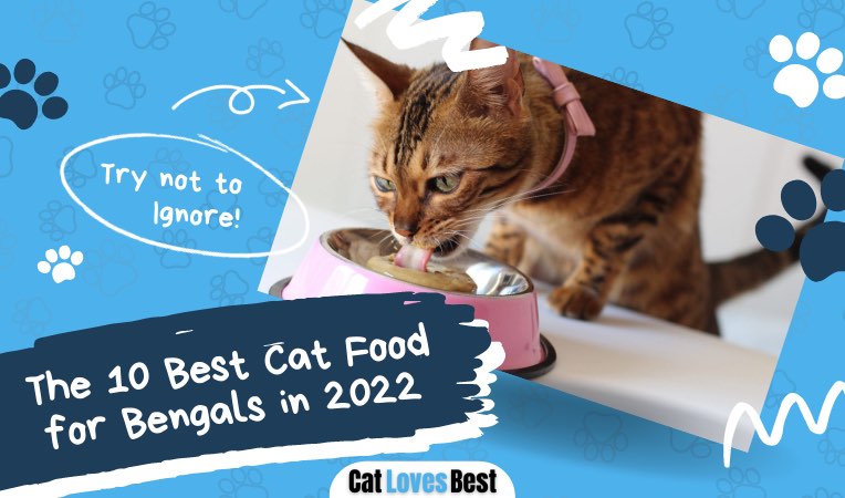 best cat food for bengal cats