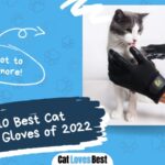 best cat grooming gloves