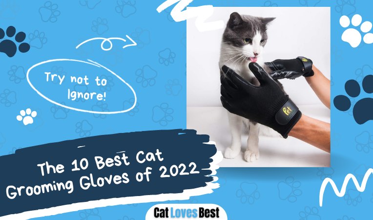 best cat grooming gloves