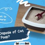 best way to dispose of cat poop
