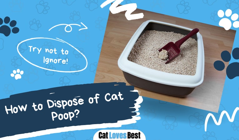 best way to dispose of cat poop