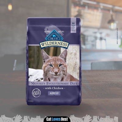 Blue Buffalo Dry Food for Bengal Cats