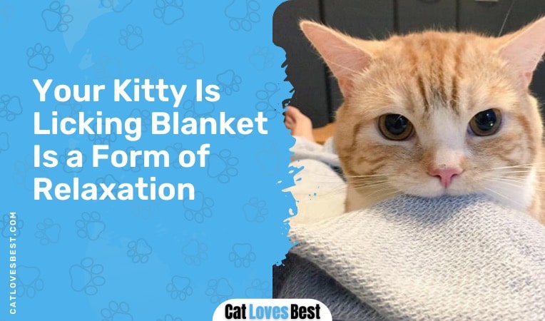 cat licking blanket as a form of relaxation