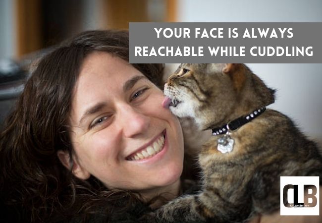 cat licking face of a woman