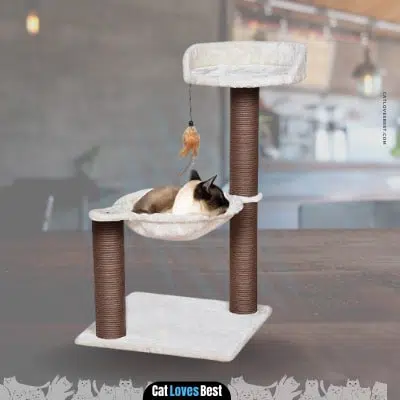 catry cat tree with feather toy and a hammock