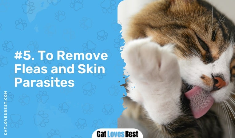 cats lick themselves to remove fleas and skin parasites
