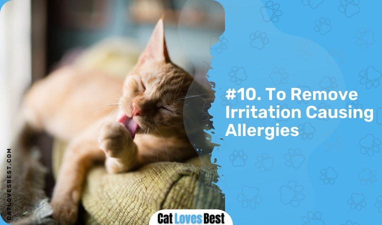 cats removing irritation causing allergens