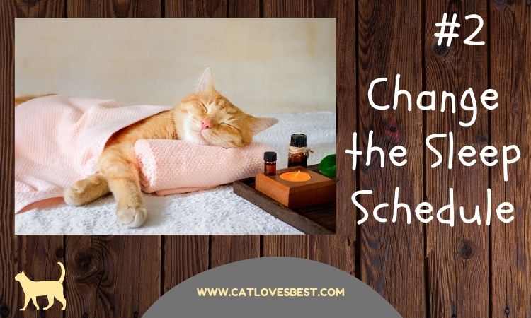 Changing Cats Sleep Schedule
