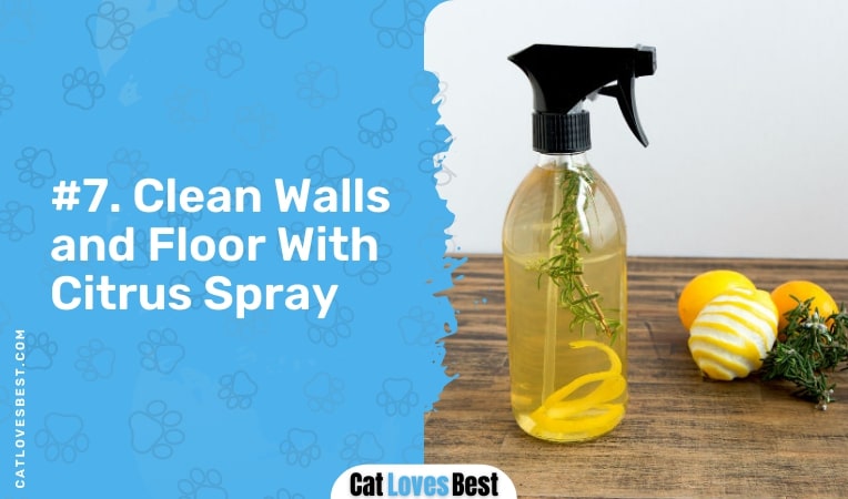 clean walls and floor with citrus spray