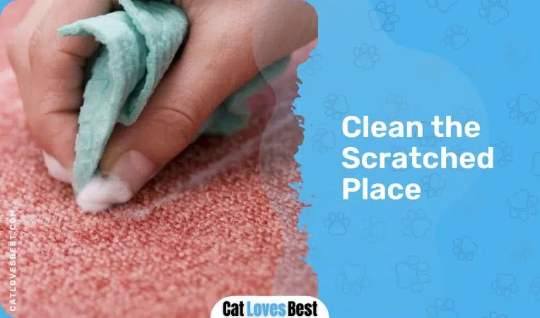cleaning cats scratched place