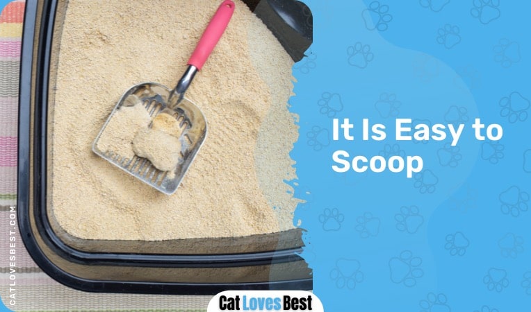 Clumping Litter is Easy to Scoop