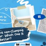 clumping vs non clumping cat litter which is better