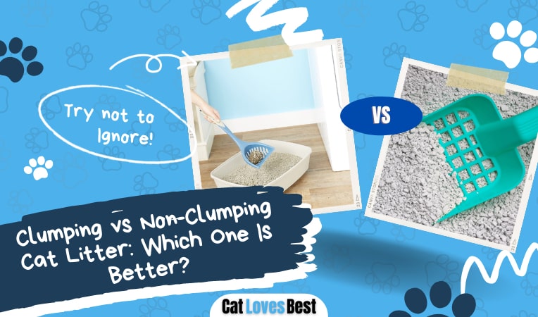 clumping vs non clumping cat litter which is better