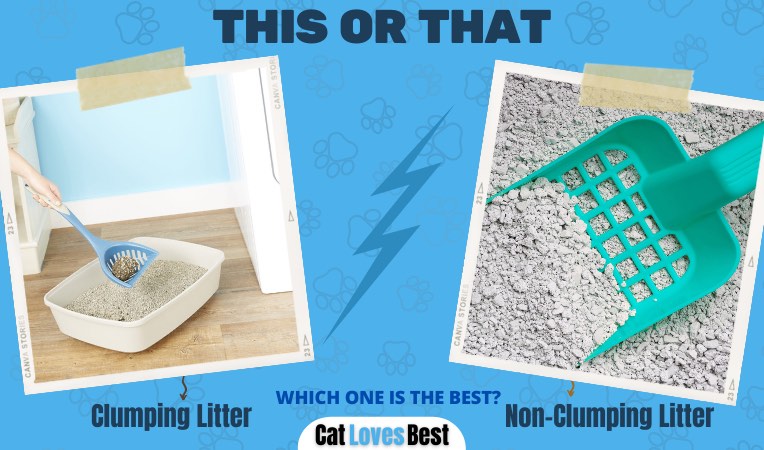 Clumping vs Non Clumping Cat Litter