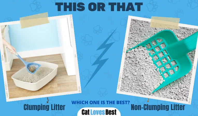 Clumping vs Non Clumping Cat Litter