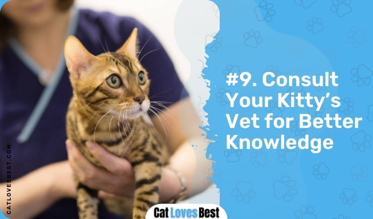 consult your vet for better knowledge