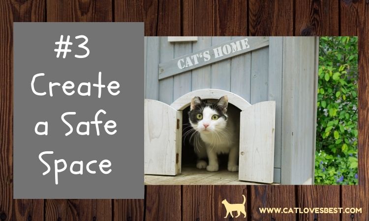 Creating Safe Place for Cats for Night Time