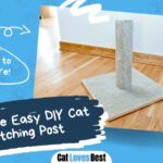 creative and easy diy cat scratching post