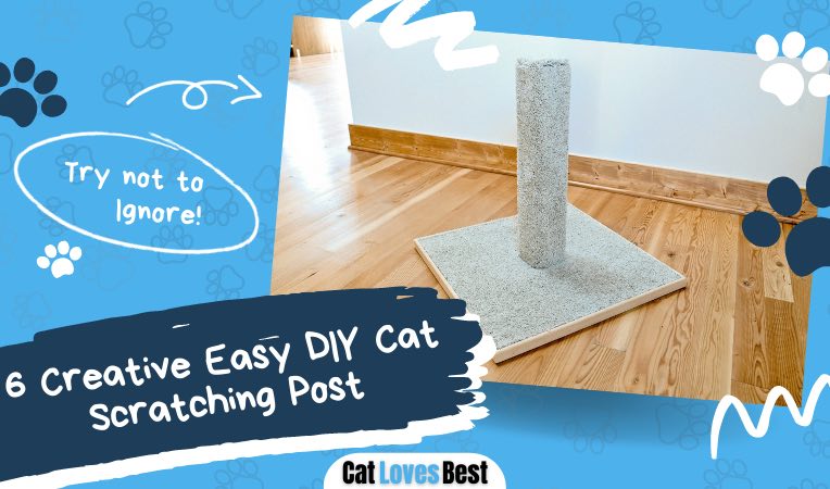 creative and easy diy cat scratching post