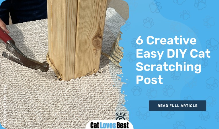 diy-cat-scratching-post