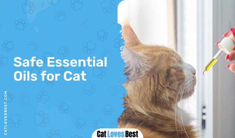 essential oils that are safe for cats