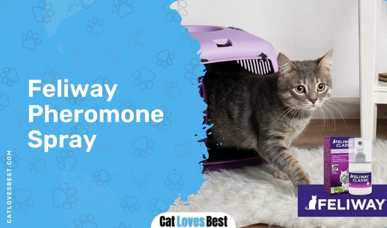 feliway pheromone spray description