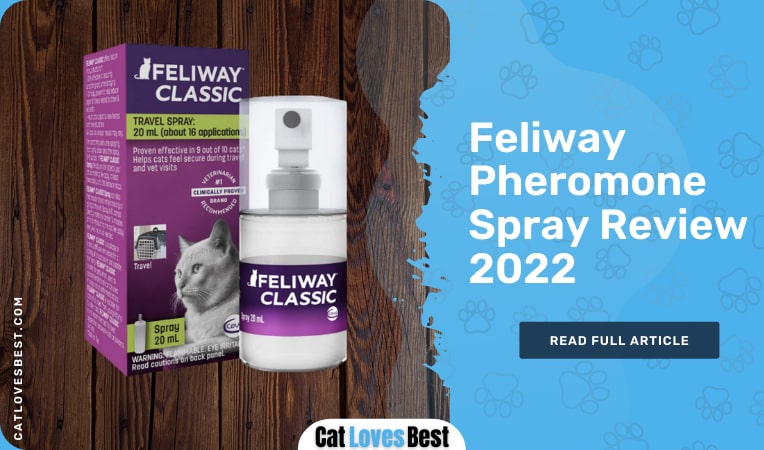 feliway pheromone spray for cats review