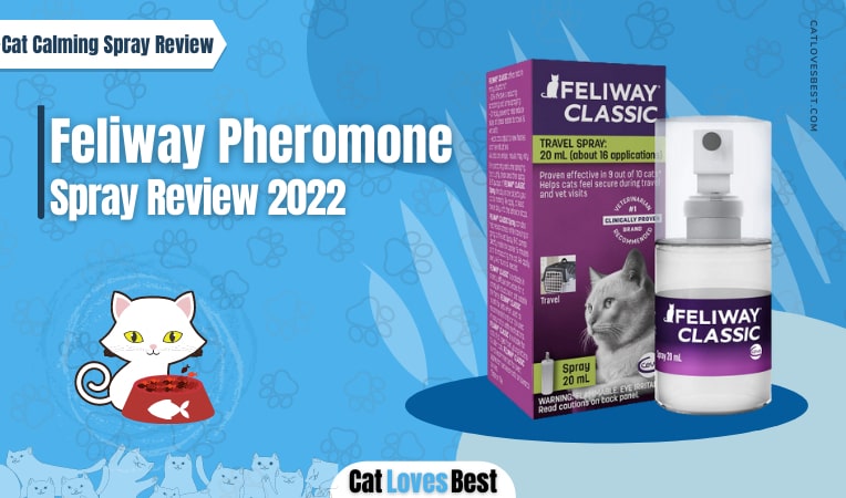 feliway pheromone spray review