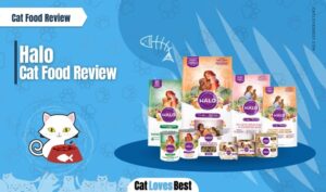 halo cat food review and recalls
